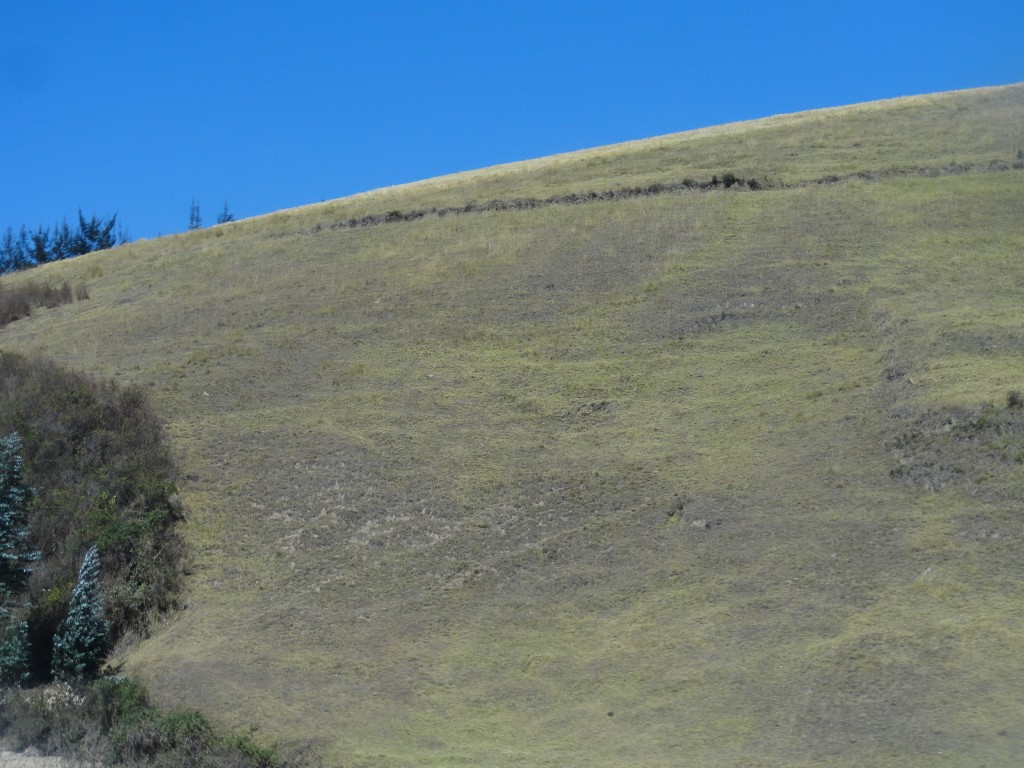 Foto: Camino a  Cayambe - Otavalo (Imbabura), Ecuador