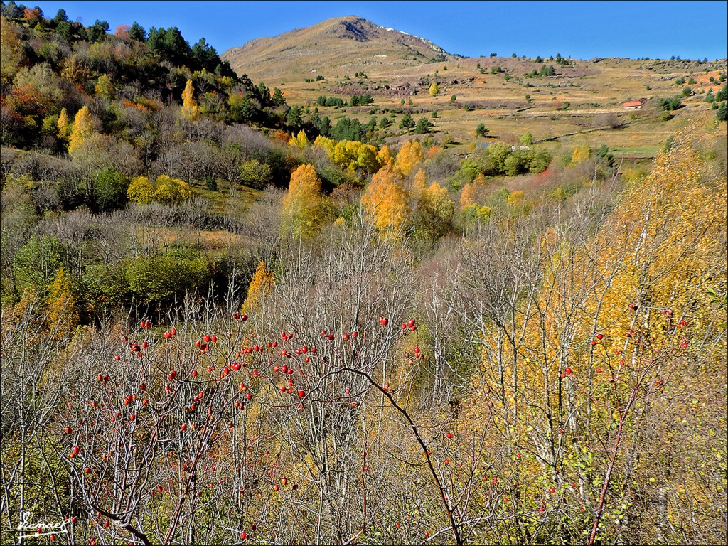 Foto: 131106-24 VALLE VIADOS - Valle Viados (Huesca), España