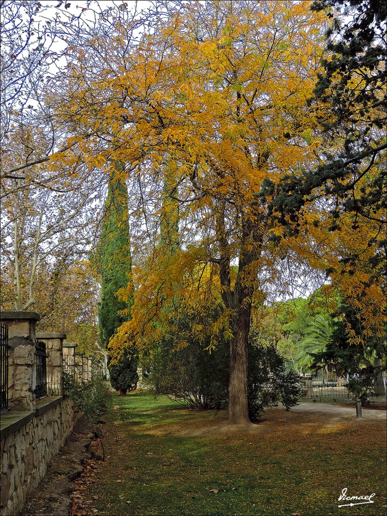 Foto: 131110-03 PARQUE ZARAGOZA - Zaragoza (Aragón), España