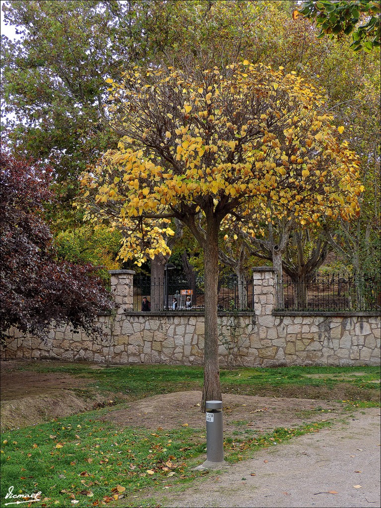 Foto: 131110-08 PARQUE ZARAGOZA - Zaragoza (Aragón), España