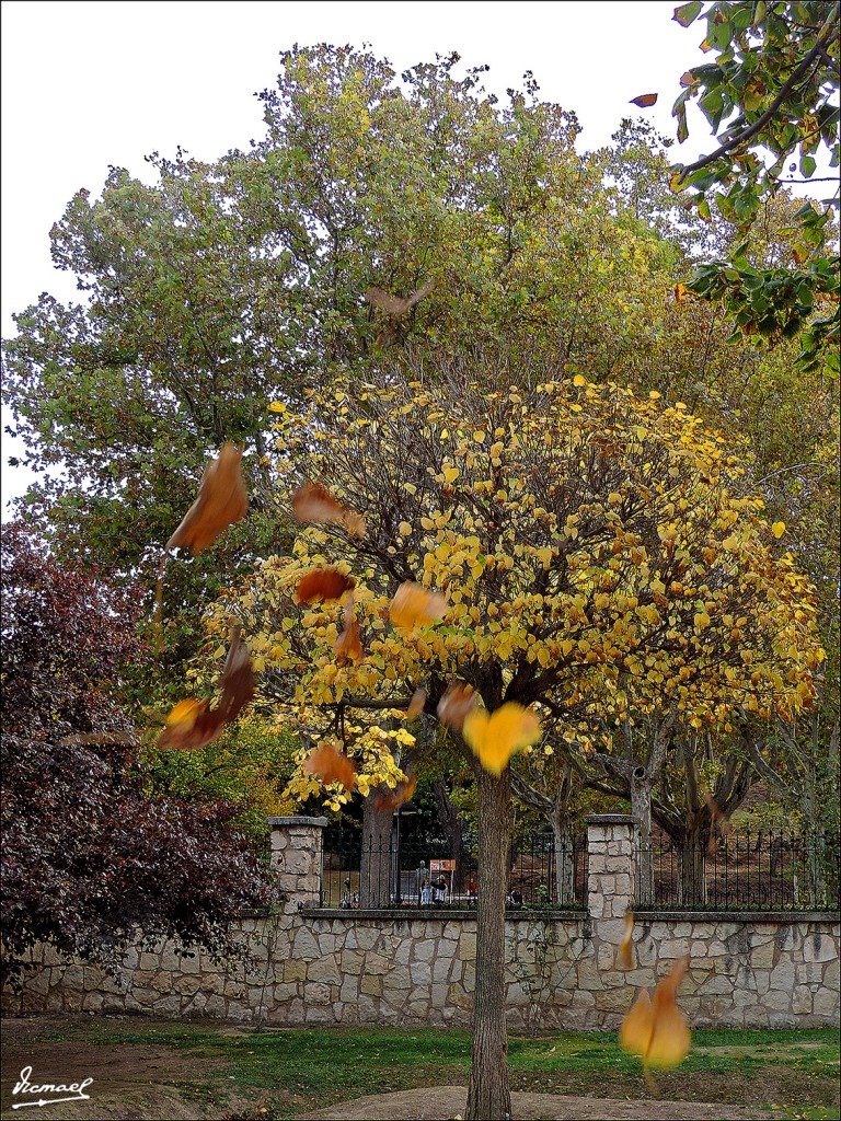 Foto: 131110-09 PARQUE ZARAGOZA - Zaragoza (Aragón), España