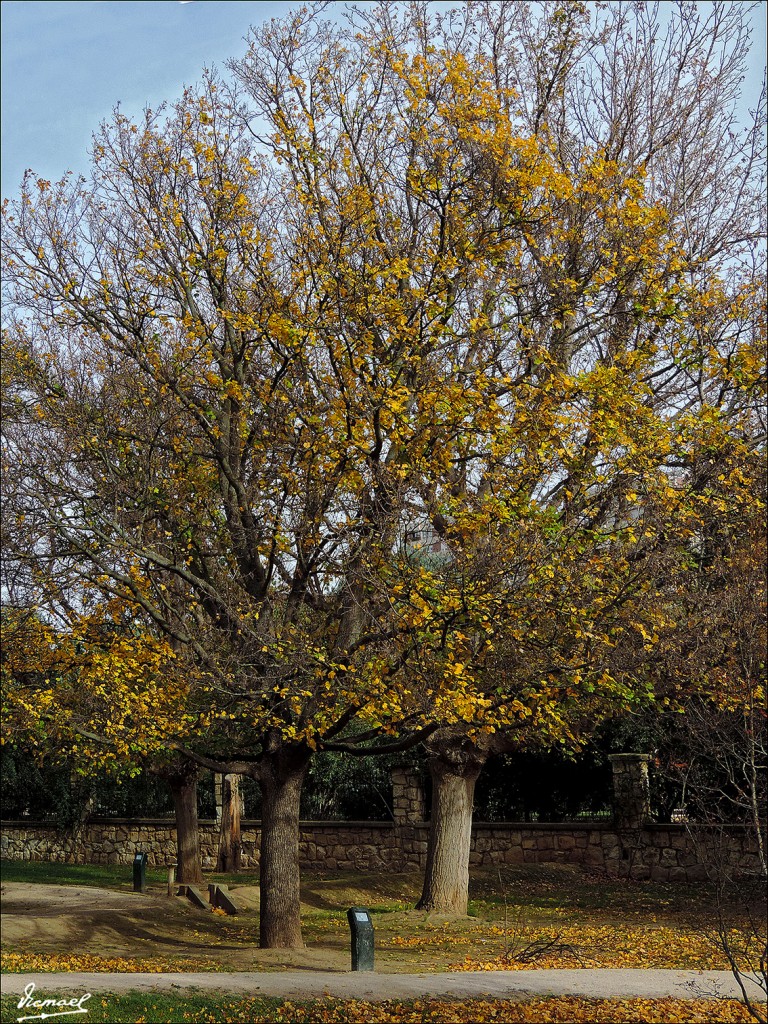 Foto: 131110-10 PARQUE ZARAGOZA - Zaragoza (Aragón), España