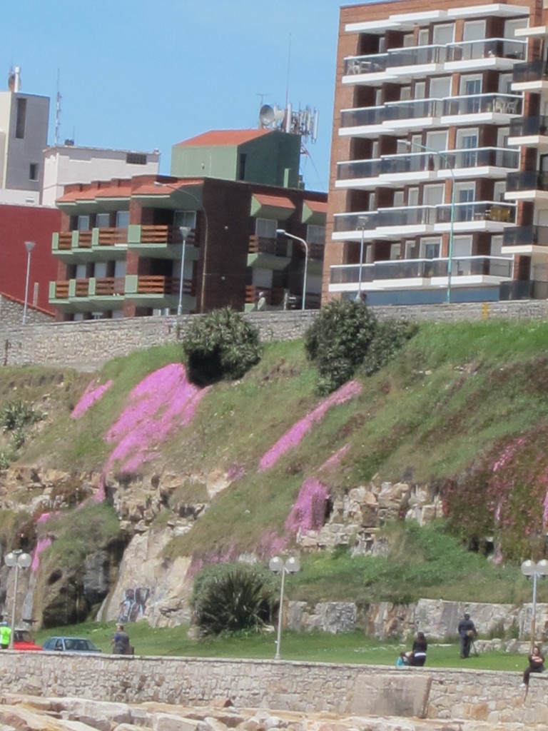 Foto: La Perla - Mar del Plata (Buenos Aires), Argentina