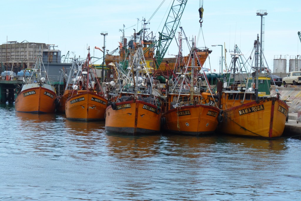 Foto: Puerto - Mar del Plata (Buenos Aires), Argentina