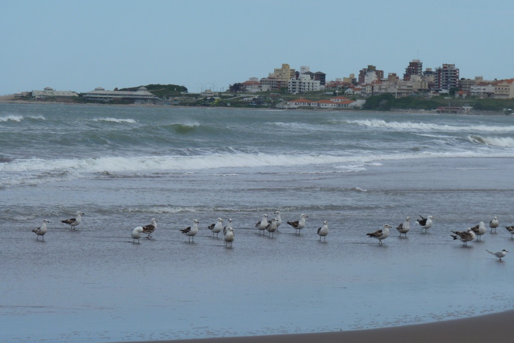 Foto: Playa del Puerto - Mar del Plata (Buenos Aires), Argentina