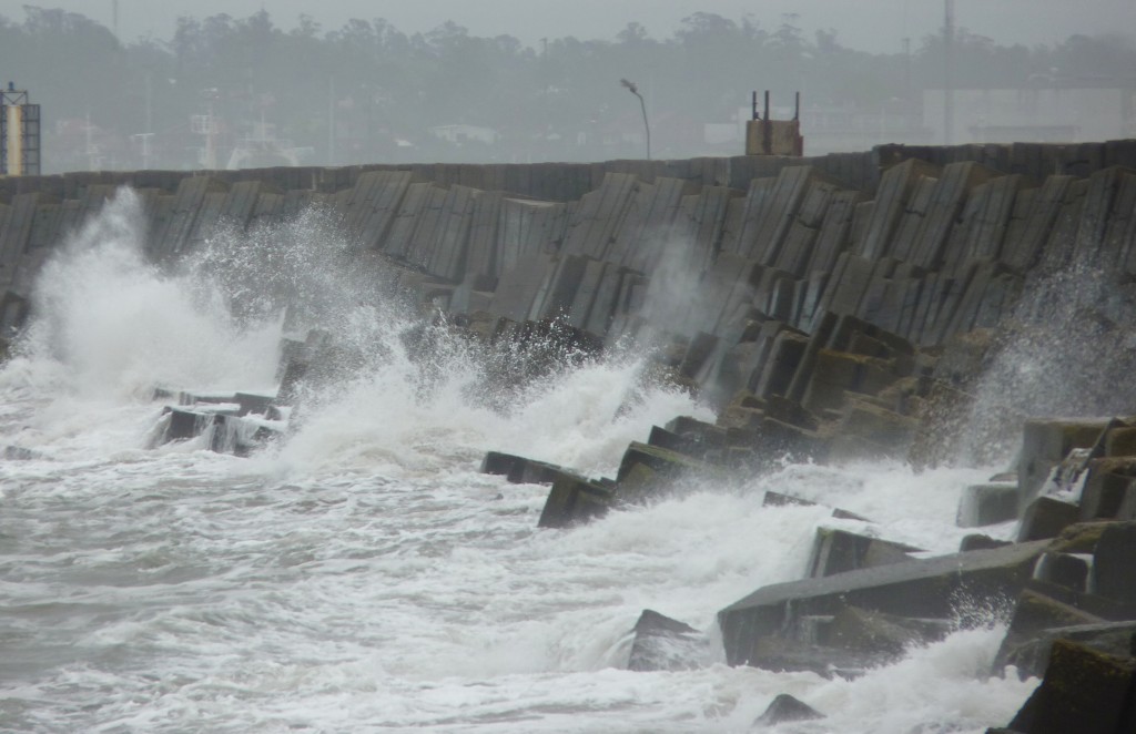 Foto: Puerto - Mar del Plata (Buenos Aires), Argentina