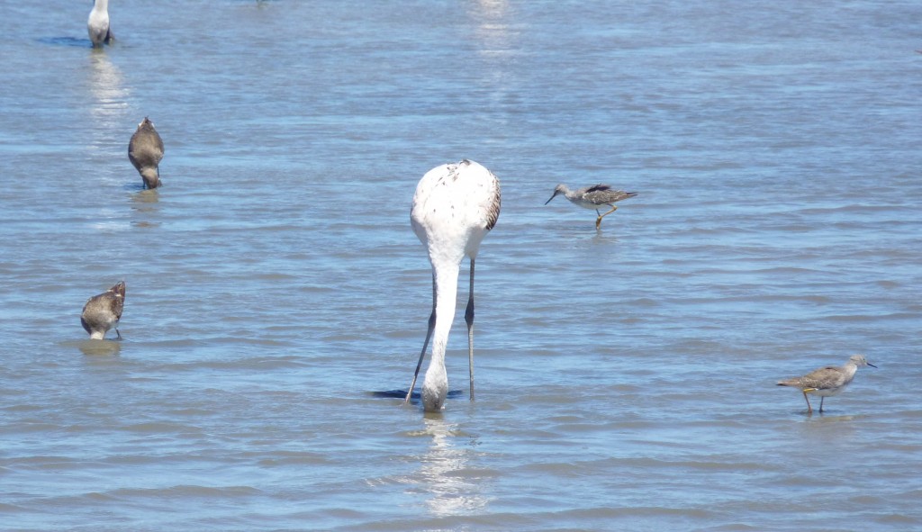 Foto de Marchiquita (Buenos Aires), Argentina