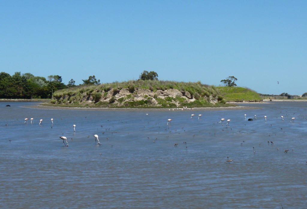 Foto de Marchiquita (Buenos Aires), Argentina