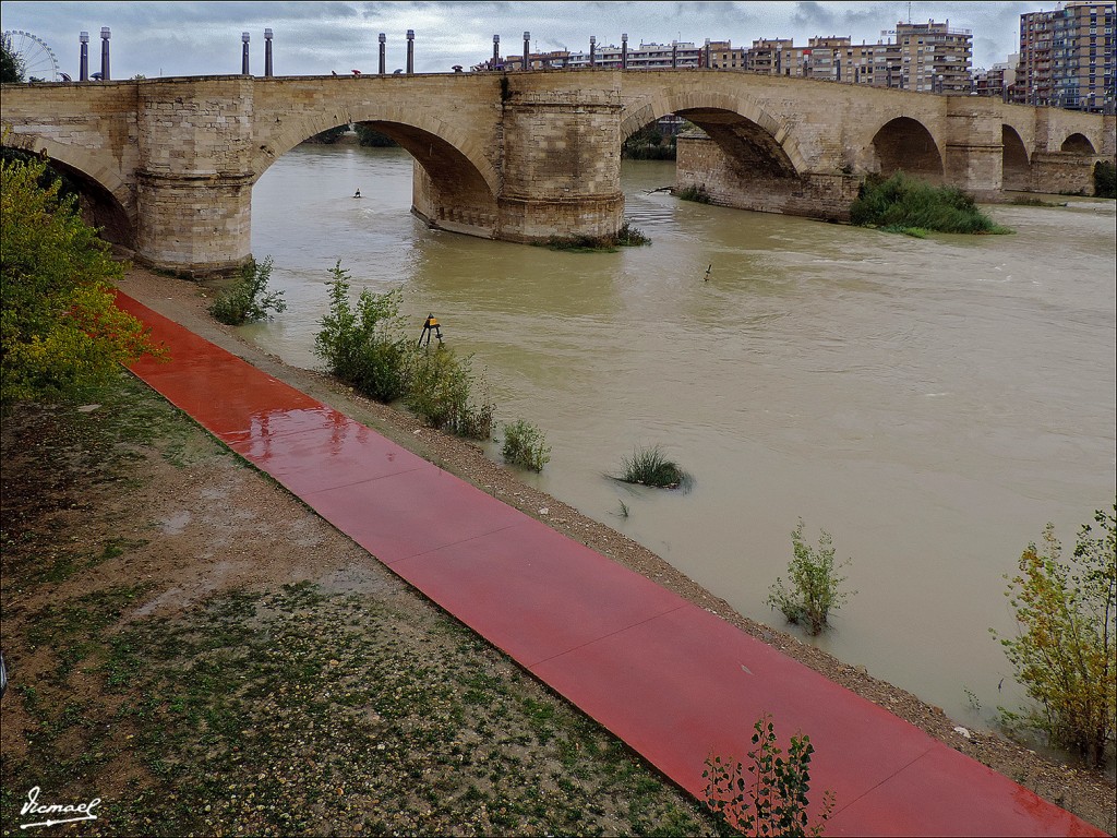 Foto: 131117-19 ZARAGOZA. PUENTE PIEDRA - Zaragoza (Aragón), España