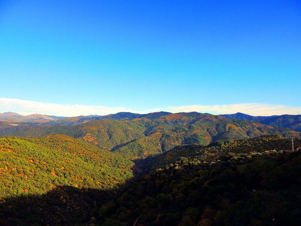 Foto: Vistas desde Benalauria - Benalauria (Málaga), España