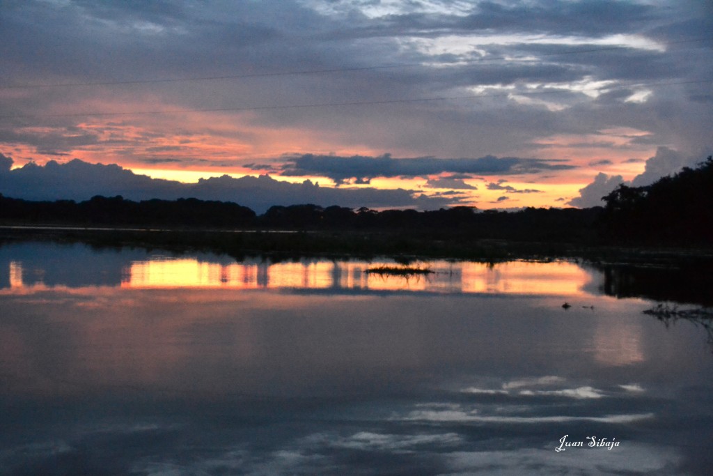 Foto de Caño Negro (Alajuela), Costa Rica