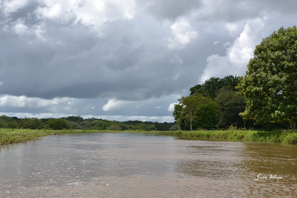 Foto de Caño Negro (Alajuela), Costa Rica