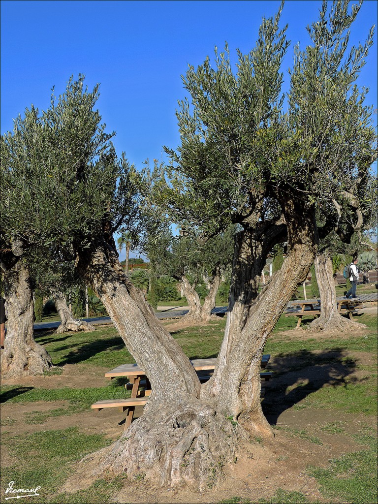 Foto: 131124-02 PARQUE DEL AGUA - Zaragoza (Aragón), España