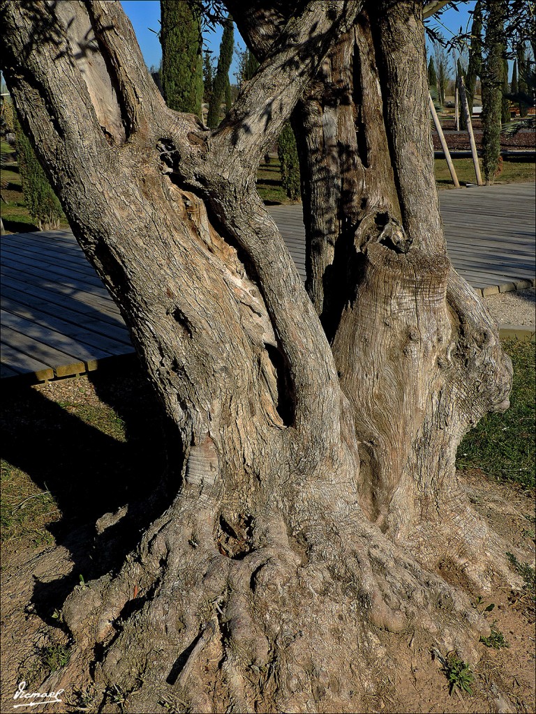 Foto: 131124-07 PARQUE DEL AGUA - Zaragoza (Aragón), España