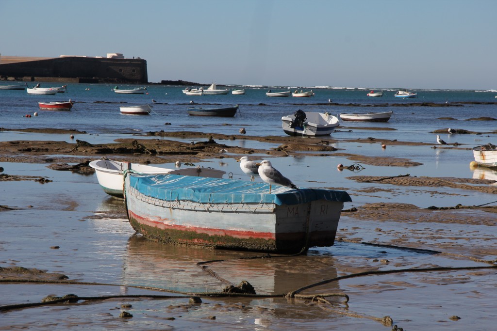 Foto de Cádiz (Andalucía), España