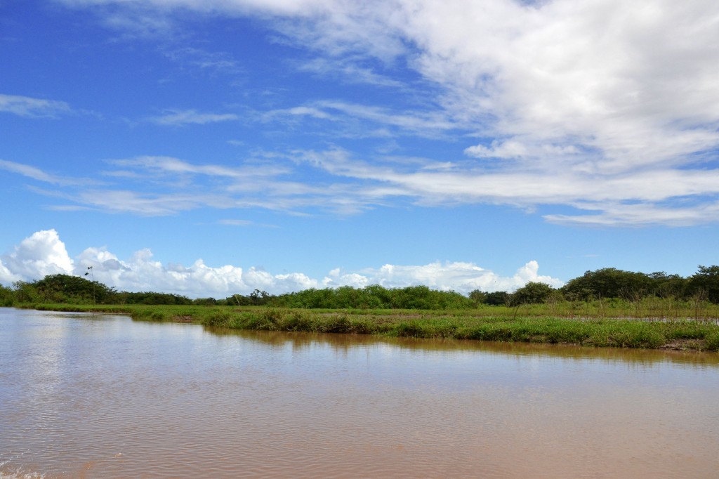 Foto de Caño Negro (Alajuela), Costa Rica