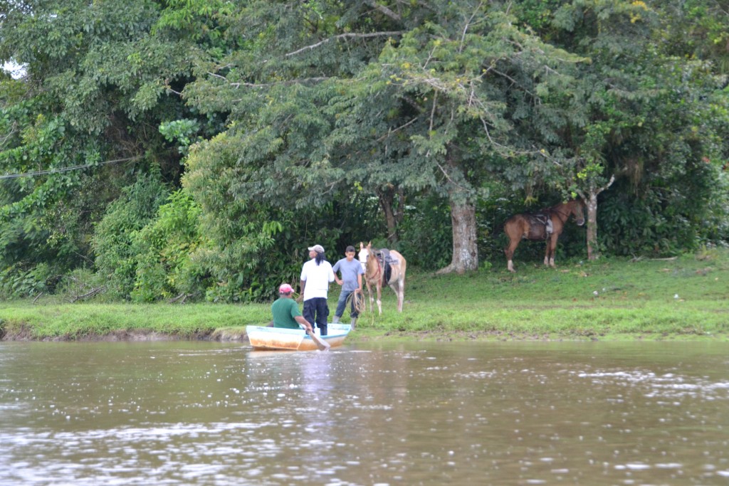 Foto de Caño Negro (Alajuela), Costa Rica