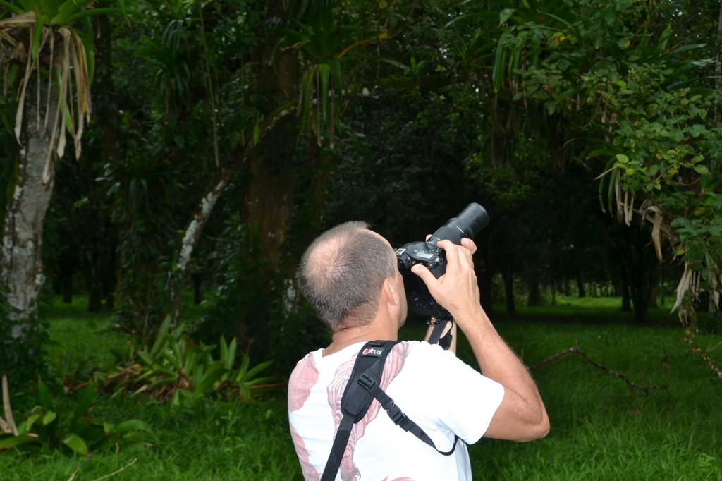 Foto de Caño Negro (Alajuela), Costa Rica