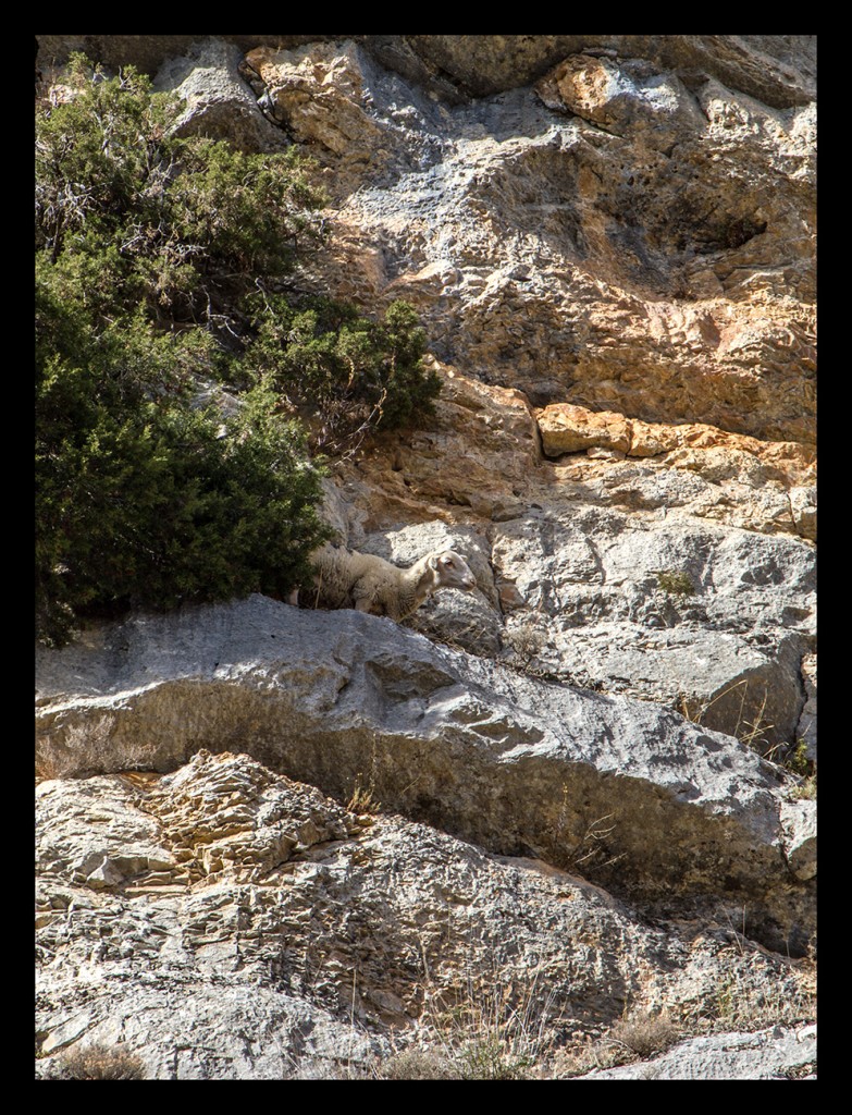 Foto de Sierra de Albarracin (Teruel), España