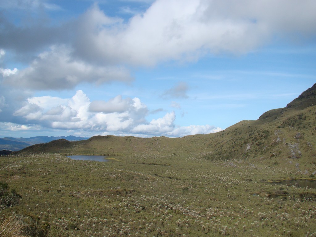 Foto: Lagunas de los buitrago - Lagunas de los Buitrago (Bogota D.C.), Colombia