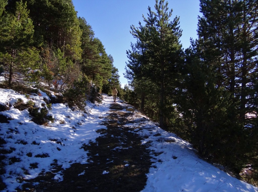 Foto: Coll de Port - Coll de Port (Lleida), España