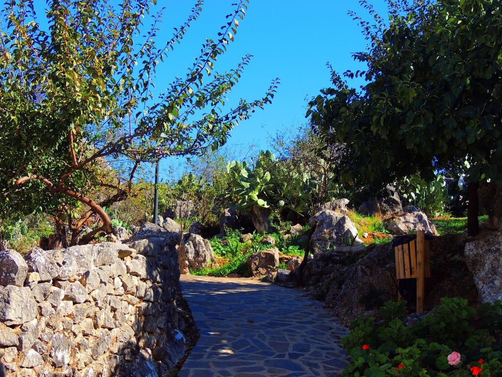 Foto de Montejaque (Málaga), España