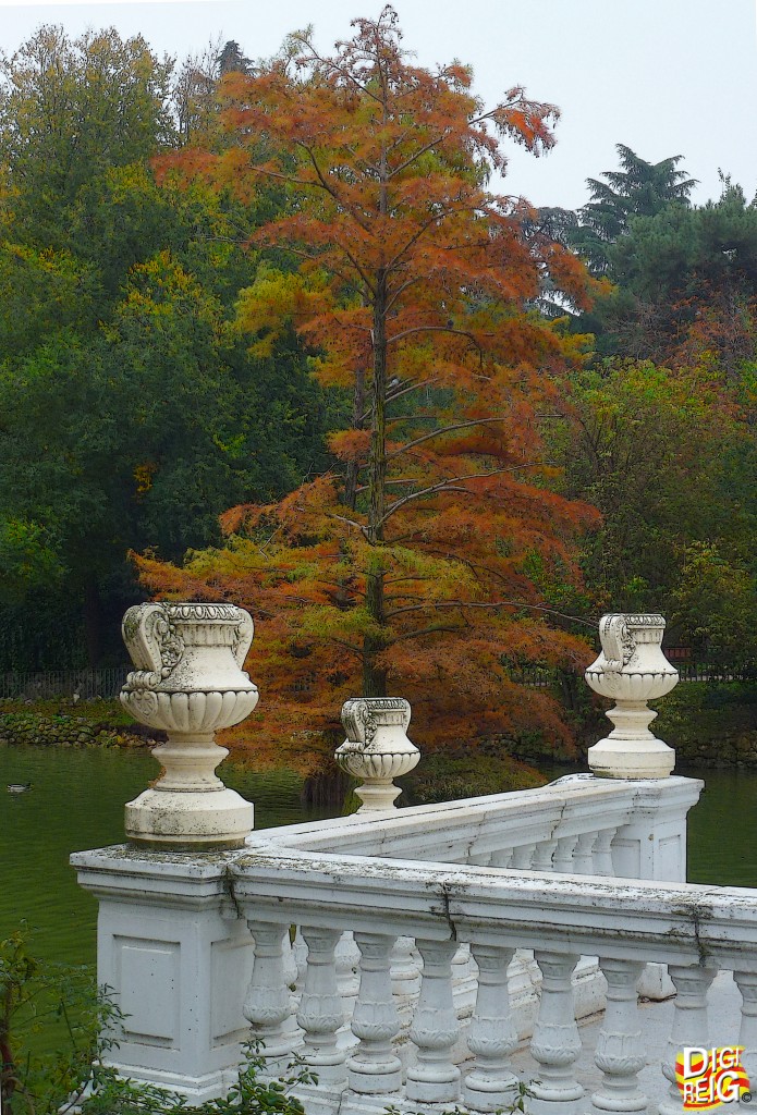 Foto: Otoño en el Retiro - Madrid (Comunidad de Madrid), España