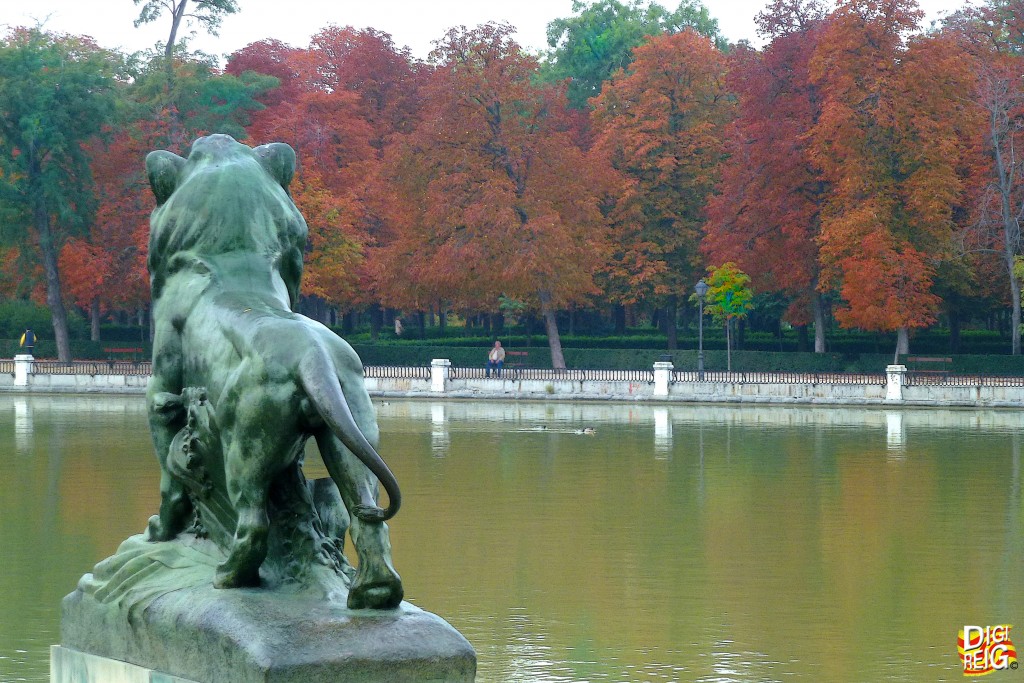 Foto: Otoño en el Retiro - Madrid (Comunidad de Madrid), España