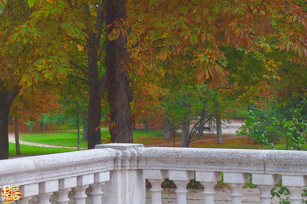 Foto: Otoño en el Retiro - Madrid (Comunidad de Madrid), España