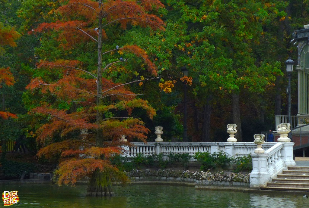 Foto: Otoño en el Retiro - Madrid (Comunidad de Madrid), España