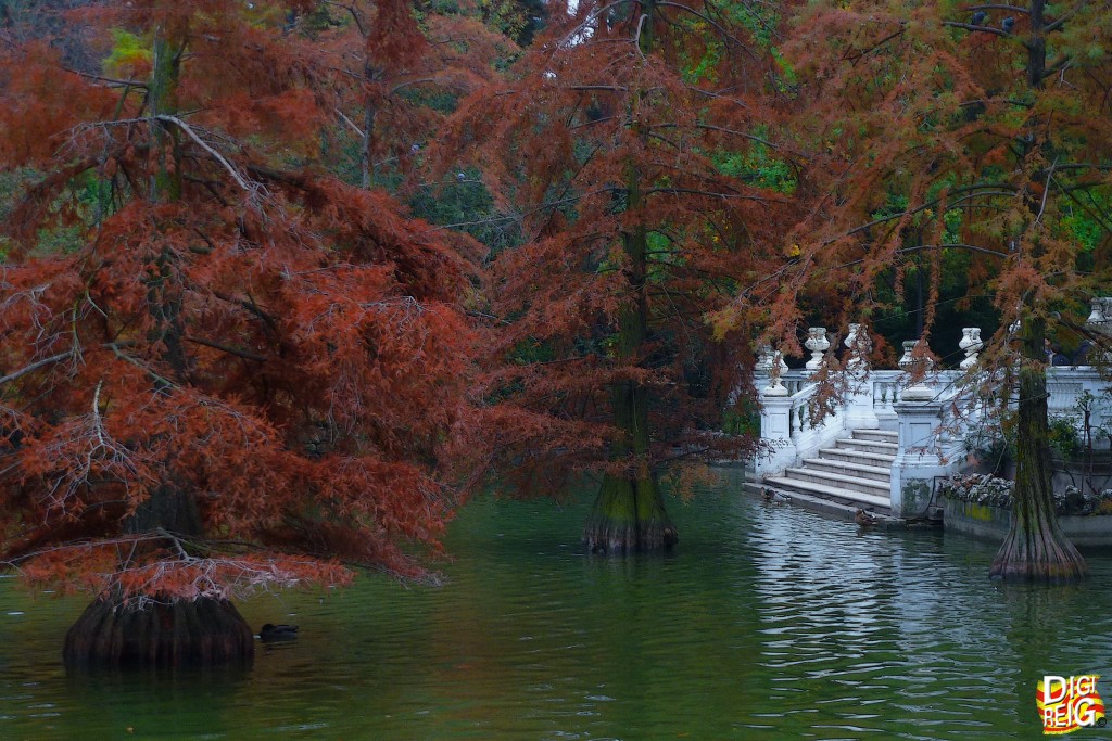 Foto: Otoño en el Retiro - Madrid (Comunidad de Madrid), España