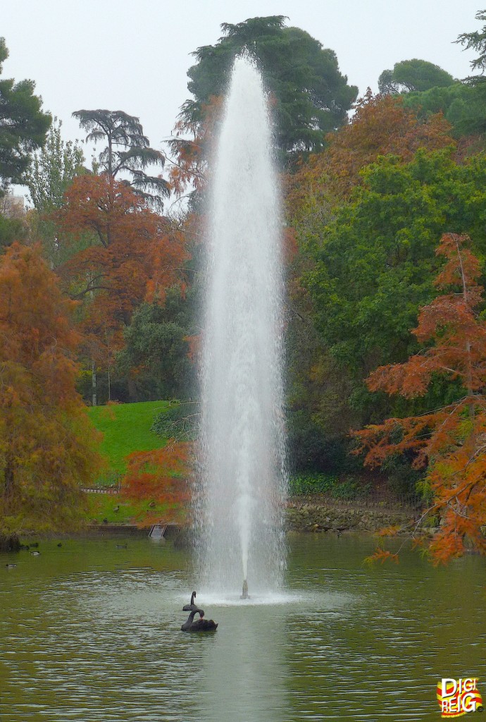 Foto: Otoño en el Retiro - Madrid (Comunidad de Madrid), España