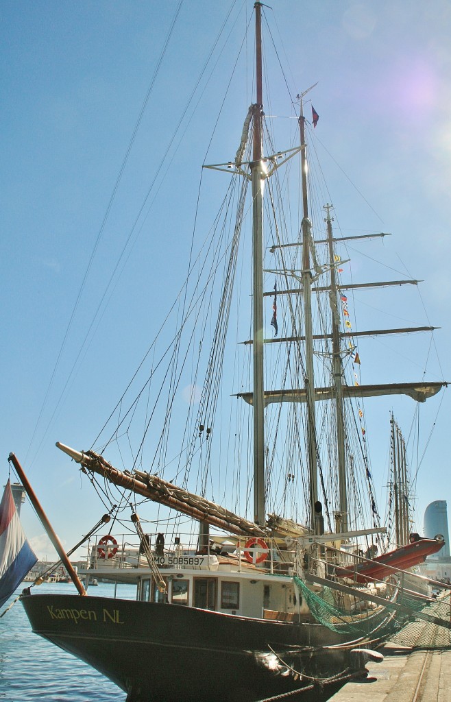 Foto: Puerto: reunión de veleros - Barcelona (Cataluña), España