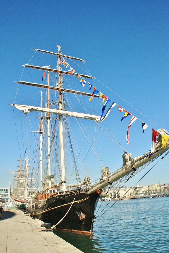 Foto: Puerto: reunión de veleros - Barcelona (Cataluña), España