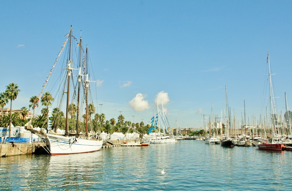 Foto: Puerto: reunión de veleros - Barcelona (Cataluña), España