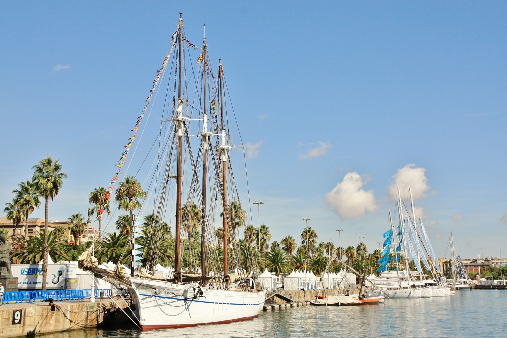 Foto: Puerto: reunión de veleros - Barcelona (Cataluña), España