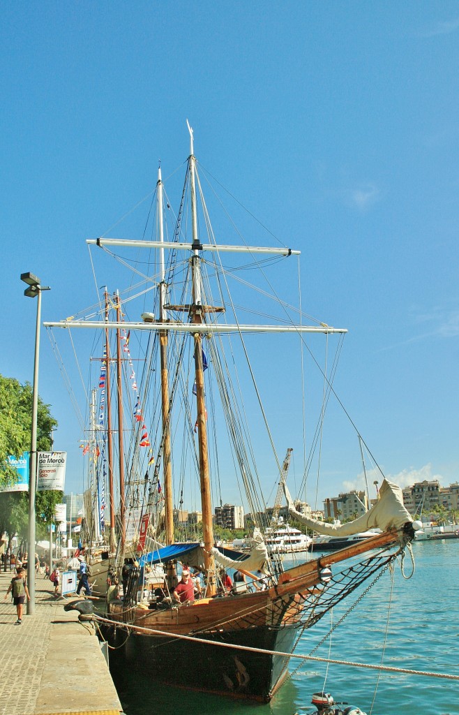 Foto: Puerto: reunión de veleros - Barcelona (Cataluña), España