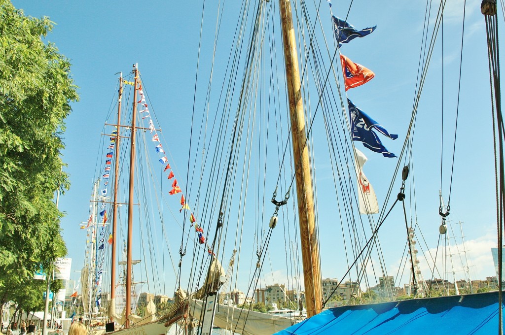 Foto: Puerto: reunión de veleros - Barcelona (Cataluña), España