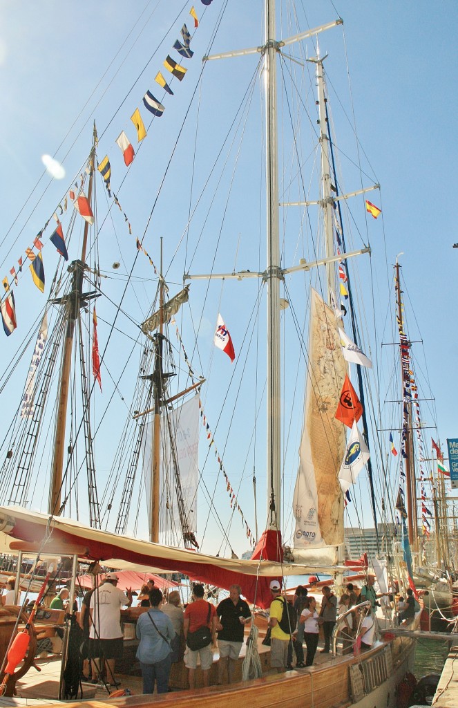 Foto: Puerto: reunión de veleros - Barcelona (Cataluña), España