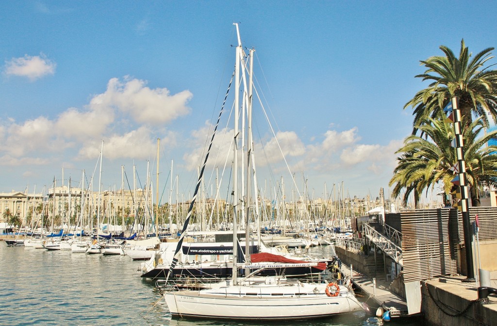 Foto: Puerto: reunión de veleros - Barcelona (Cataluña), España