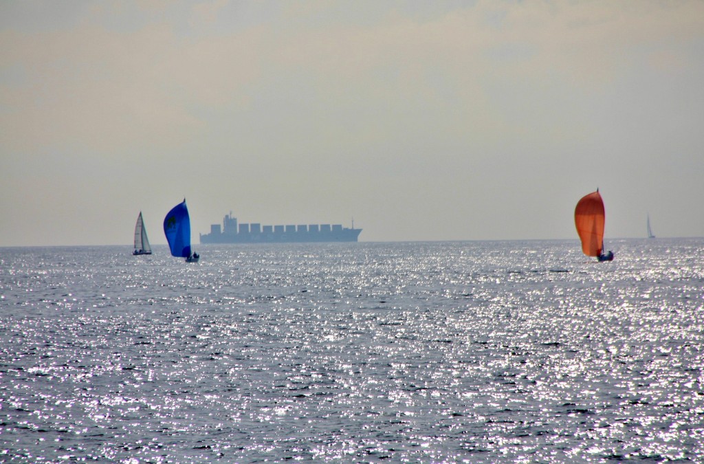 Foto: Regatas - Barcelona (Cataluña), España