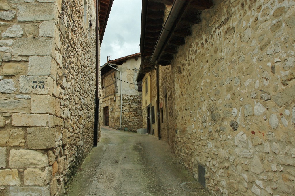 Foto: Vista del pueblo - Treviño (Burgos), España