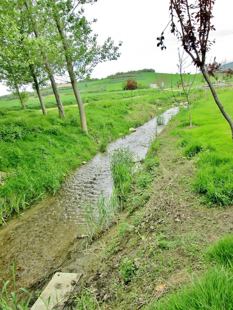 Foto: Rio Zadorra - La Puebla de Arganzón (Burgos), España