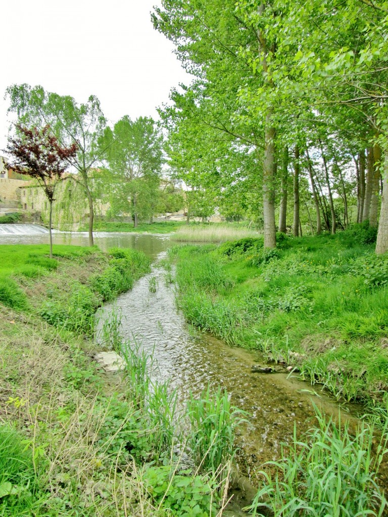 Foto: Rio Zadorra - La Puebla de Arganzón (Burgos), España