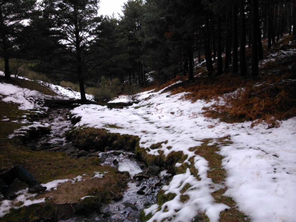 Foto de Ortigosa del Monte (Segovia), España