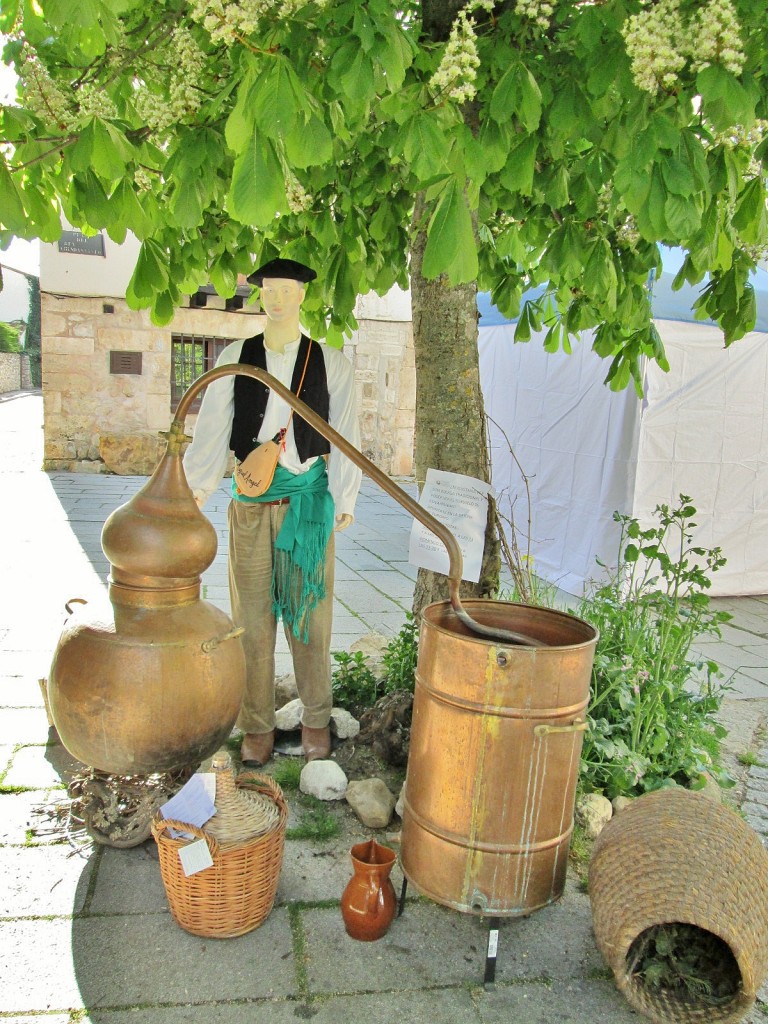 Foto: Villa medieval - Covarrubias (Burgos), España