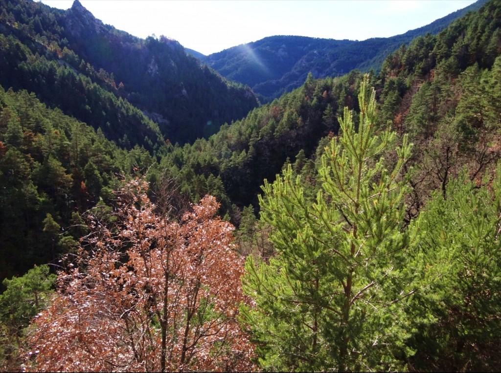 Foto: Camí dels Bons Homes - Gósol (Lleida), España