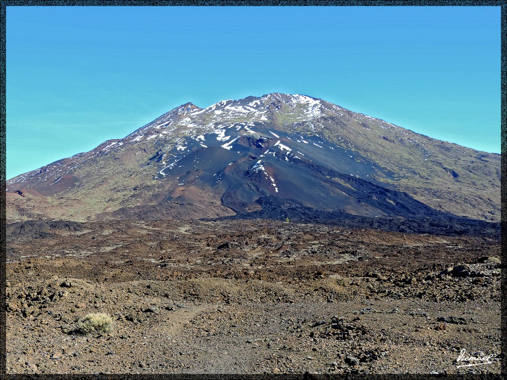 Foto: 131220-072 TEIDE - Tenerife (Santa Cruz de Tenerife), España