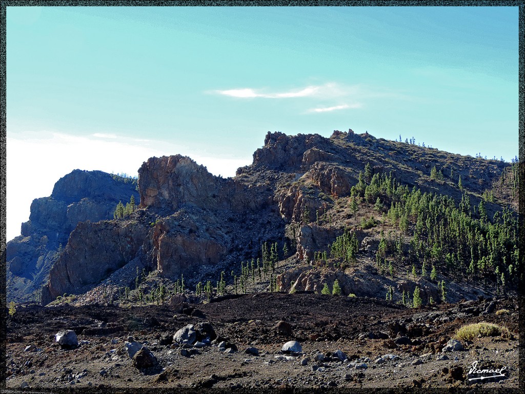 Foto: 131220-076 TEIDE - Tenerife (Santa Cruz de Tenerife), España