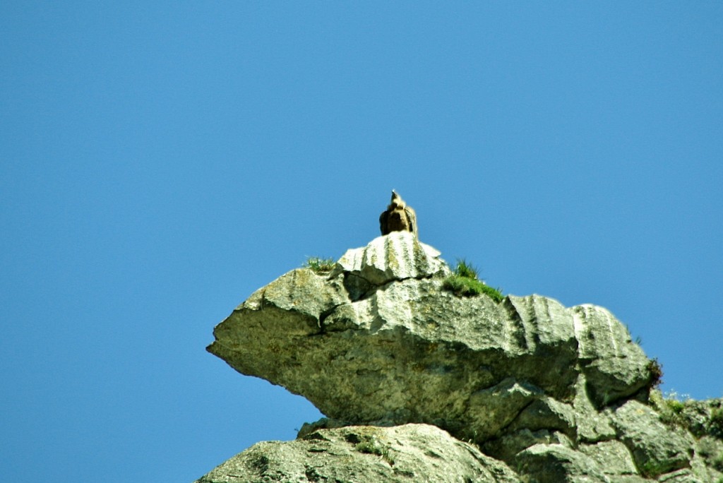 Foto: Desfiladero de la Yecla - Santo Domingo de Silos (Burgos), España